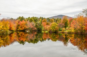 Mill Pond Reflections