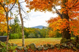 Mt Monadnock