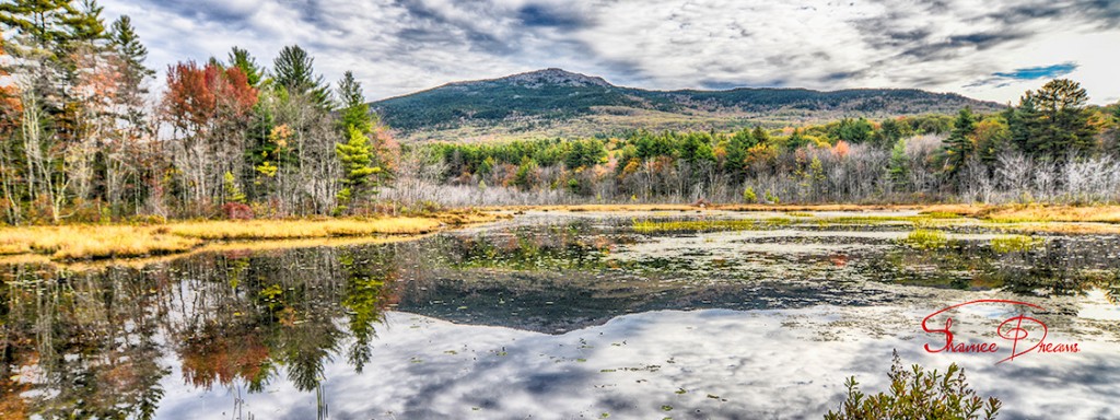 Perkins Pond