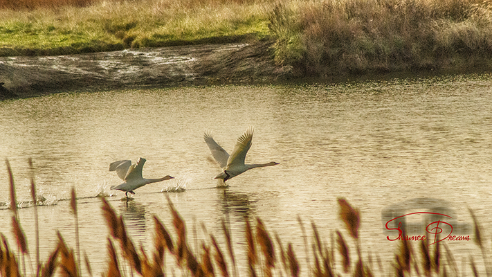 Walking On Water