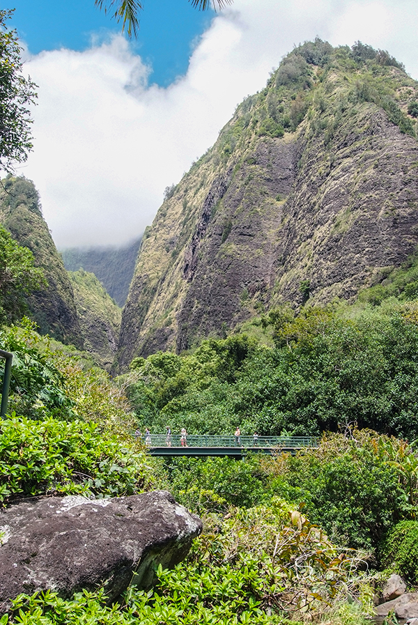 the iao needle