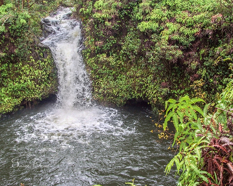 Hana Falls