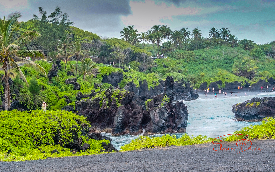 Black Coral Beach