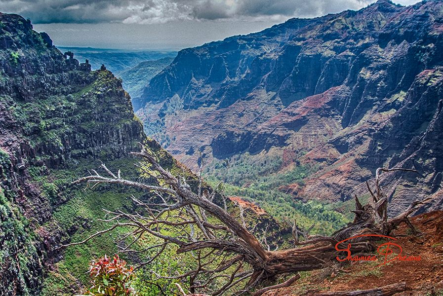 Waimea Canyon