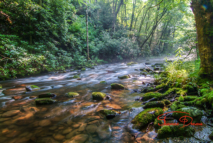 Catalochee Creeks