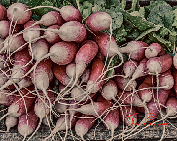 Radishes