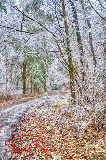 Icy road