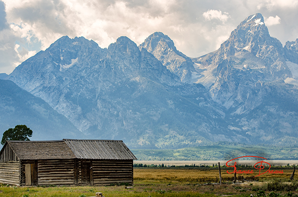 Mormon row